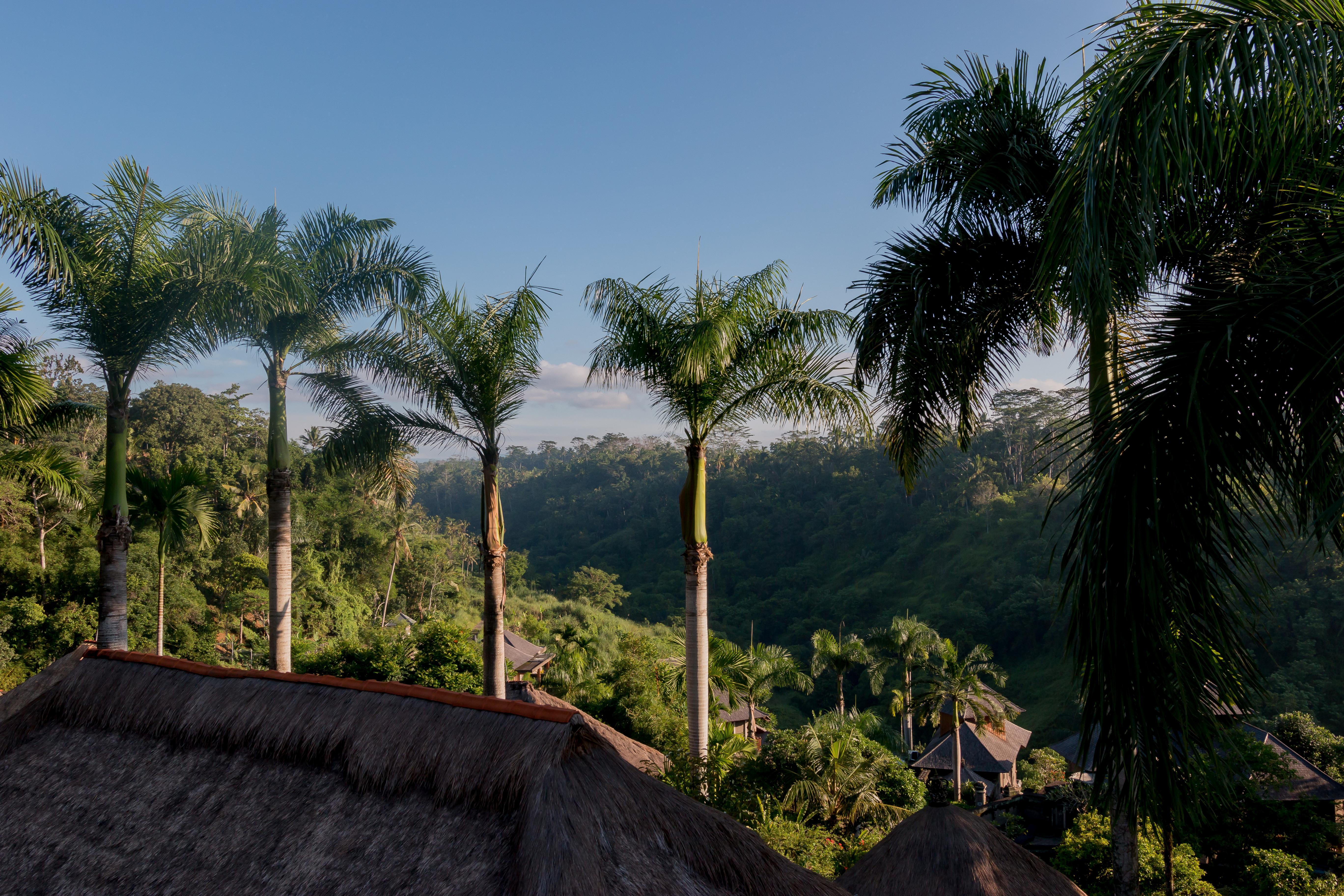 The Payogan Villa Resort And Spa Ubud Exteriér fotografie